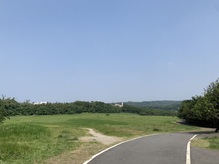 新竹 香山 青青草原