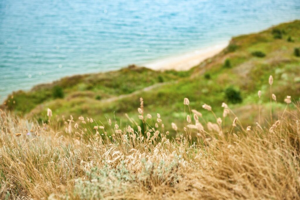 隱藏版觀光景點推薦:探索台灣未發現的美麗角落