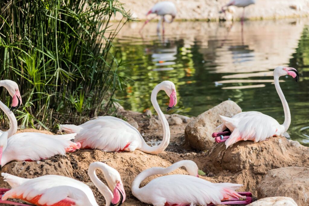 隱藏版觀光景點推薦:探索台灣未發現的美麗角落
