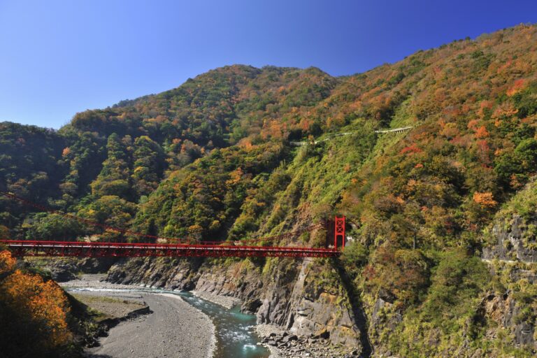 探索桃園私房景點：最適合週末輕旅行的秘境推薦