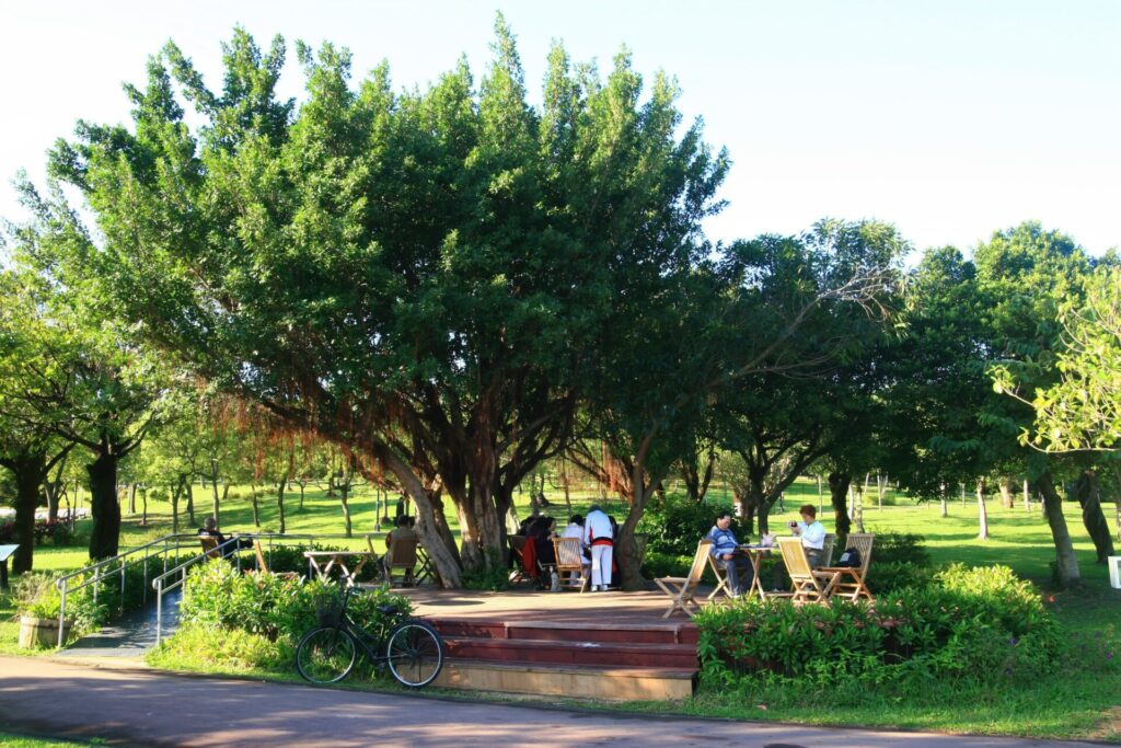 台北捷運景點自然景觀探索：最適合戶外踏青的步道與公園
