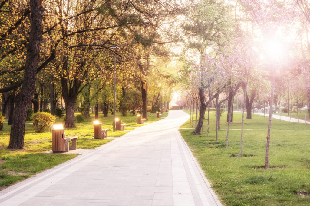 台北親子遊景點
台北兒童新樂園
士林官邸景點推薦
士林夜市美食
貓空纜車親子遊
貓空茶園景點
大安森林公園
台北捷運親子旅遊
家庭旅遊台北
台北適合拍照的景點
親子戶外活動台北
台北親子打卡地點
台北捷運沿線旅遊
親子夜市體驗
台北一日遊推薦