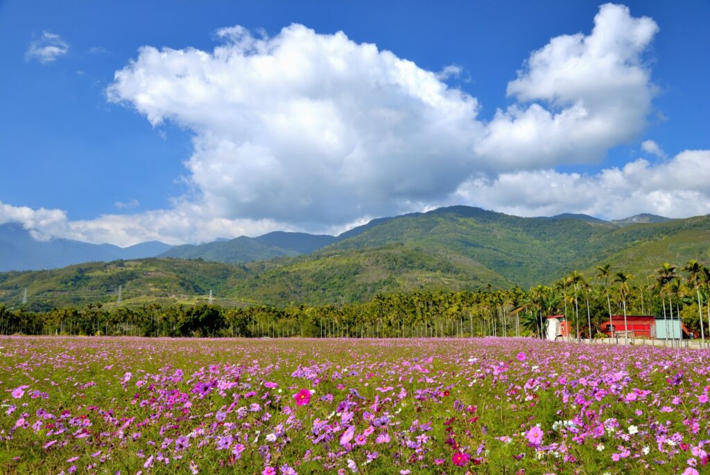 花東縱谷秘境：2024年必打卡的旅遊景點