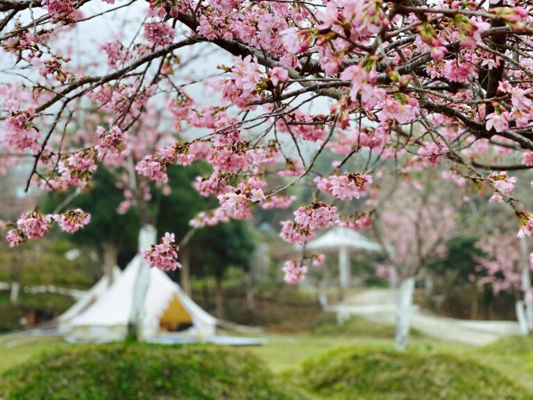 台北景點戶外旅遊指南：秋冬露營與輕旅行推薦