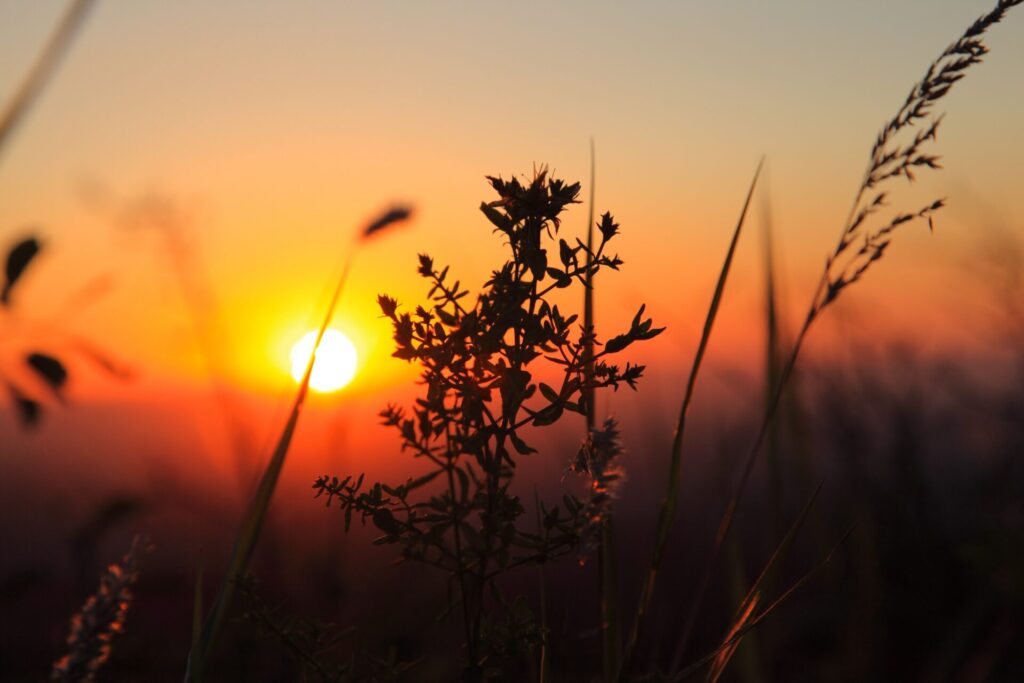 隱藏版觀光景點推薦:探索台灣未發現的美麗角落
