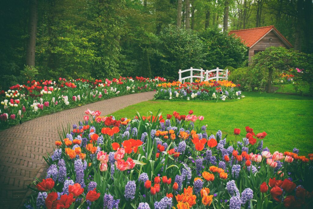 北部景點IG打卡秘境：最熱門的拍照景點攻略