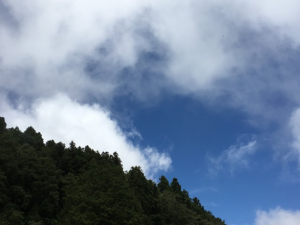 阿里山