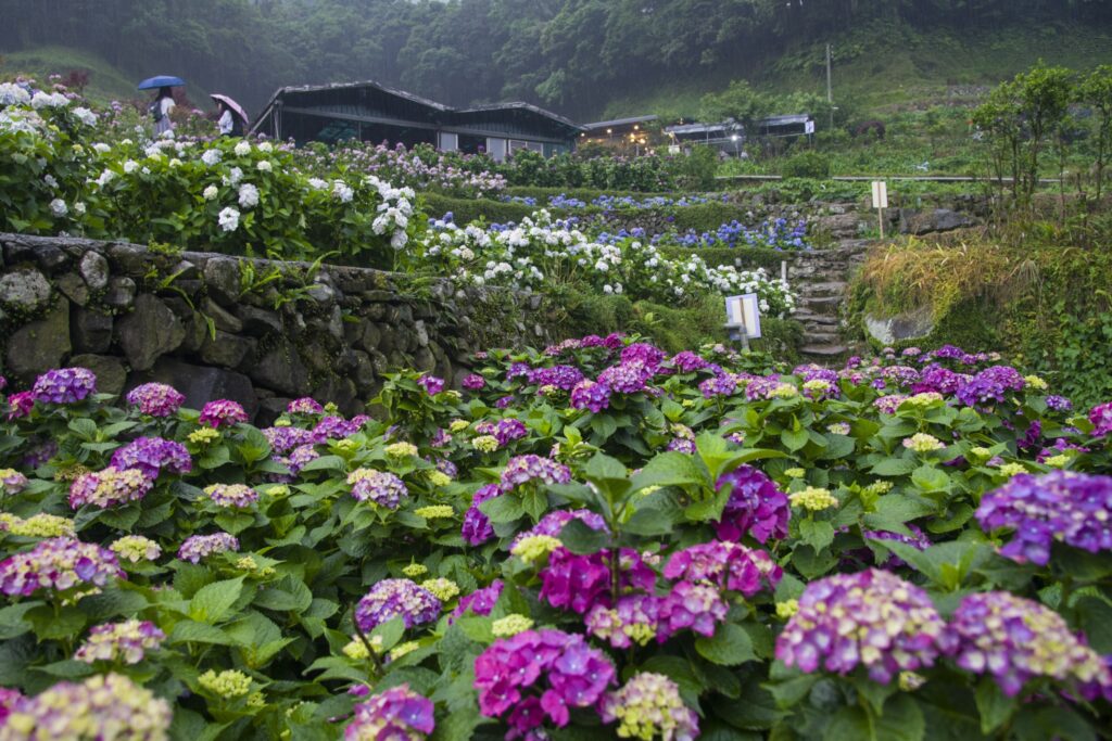 台北景點排名分析：親子遊、情侶約會必去景點大公開