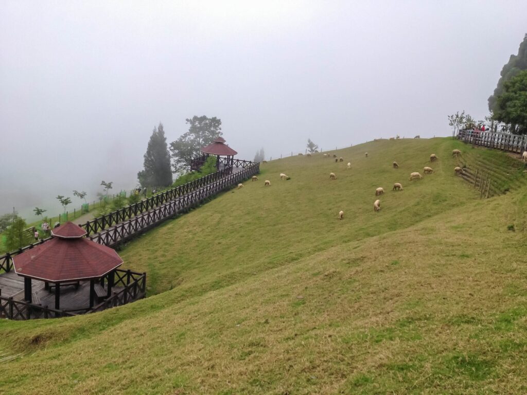 台灣最值得去的地方旅遊指南：親子、情侶必去的最佳景點