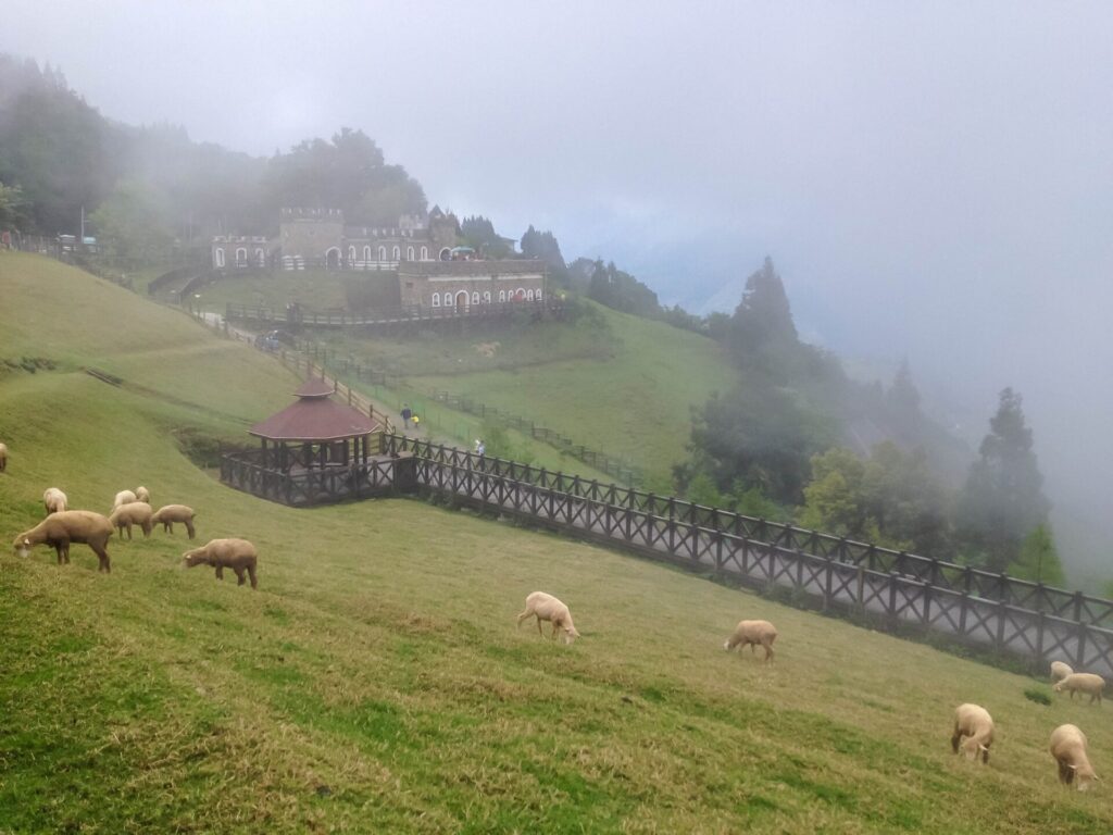 清境農場四季景觀與活動：中部景點一日遊精選