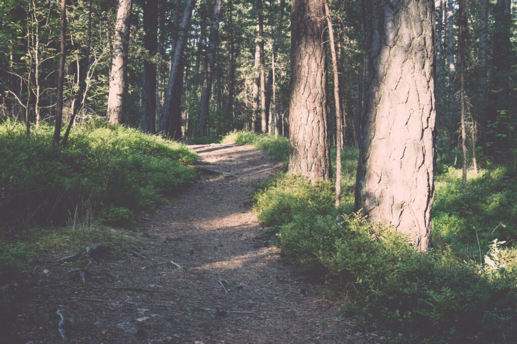 無聊可以去哪裡？台中周末一日遊攻略