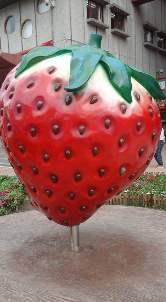 台灣景點一日遊攻略：適合親子與情侶的行程