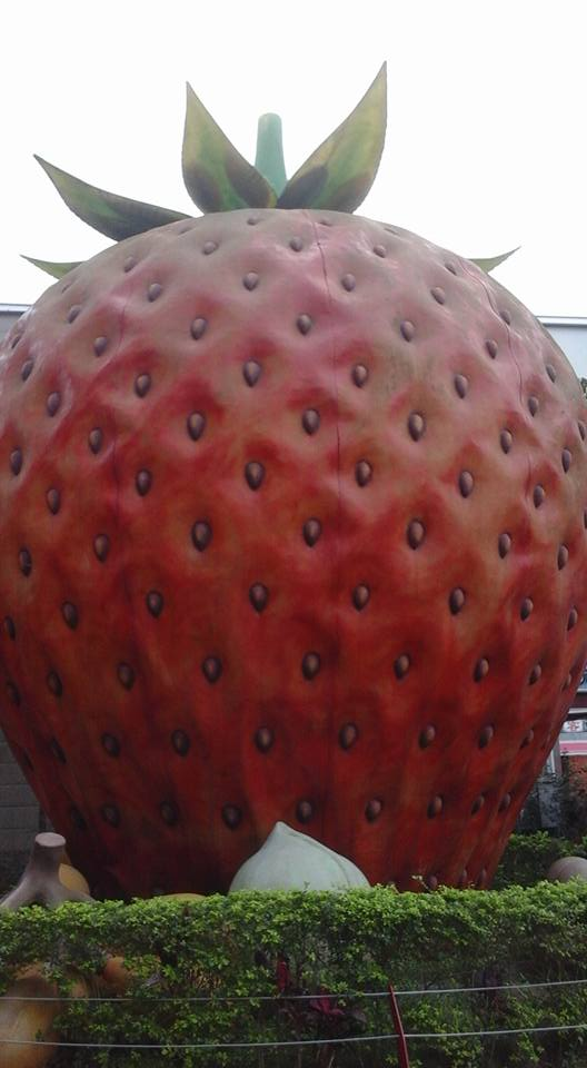 台灣景點一日遊攻略：適合親子與情侶的行程