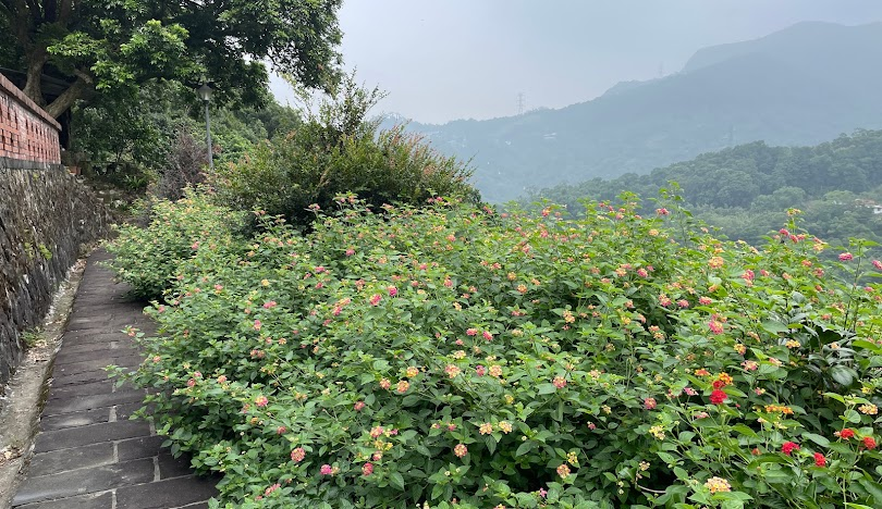 台北山水景點排行榜：必訪的隱藏版秘境