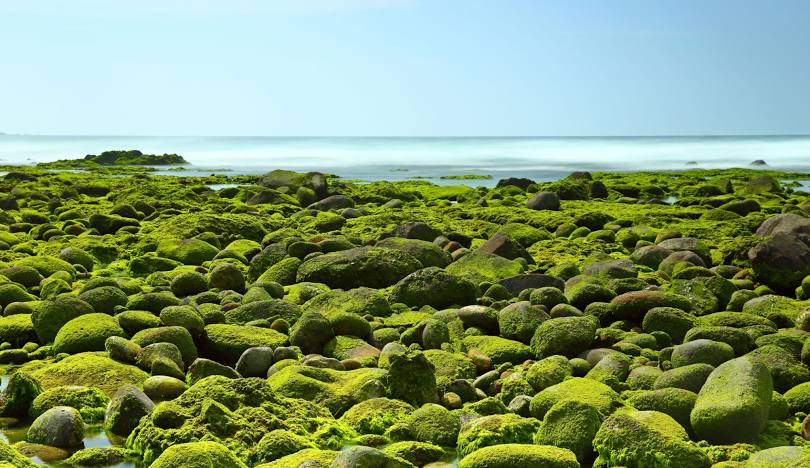 北海岸景點一日遊推薦：精彩旅程與不容錯過的秘境