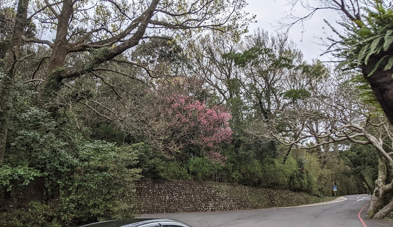 台北市的觀光景點步道推薦：自然風景與都市風光的完美結合