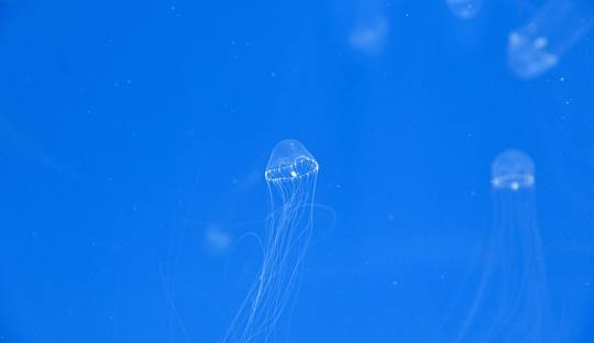 桃園景點一日遊行程規劃：最佳路線與美食攻略