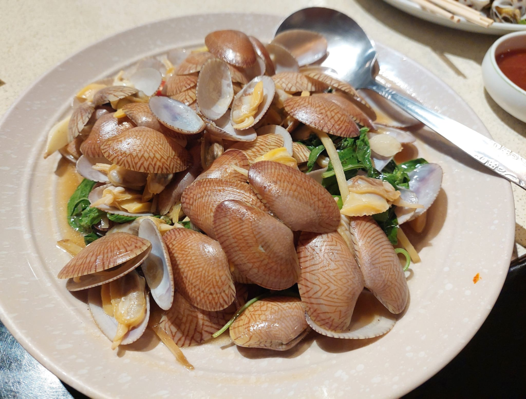 新竹一日遊開車拍照打卡景點推薦