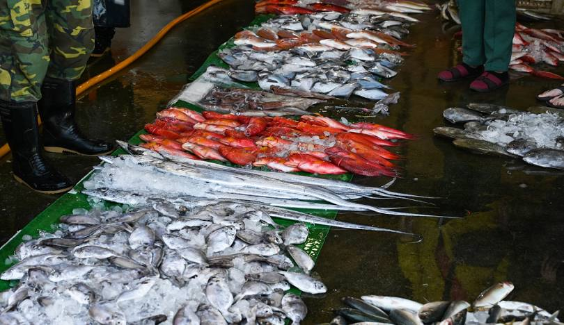 探索桃園私房景點：最適合週末輕旅行的秘境推薦