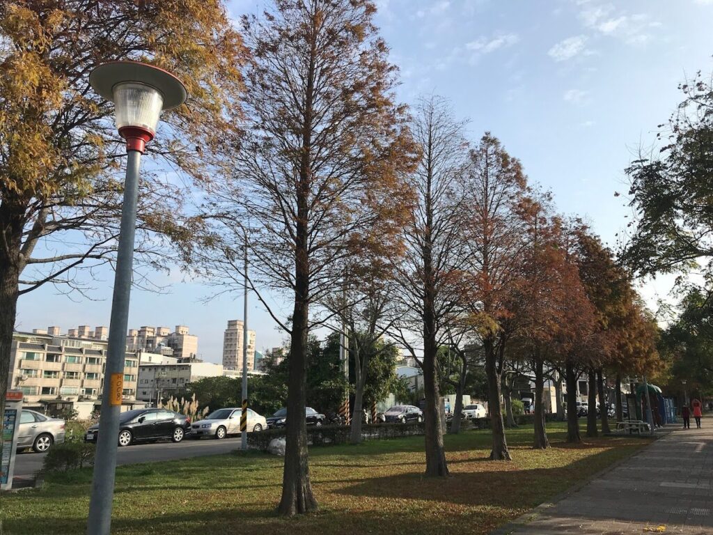 桃園私房景點秘笈：隱藏在市區中的絕美秘境