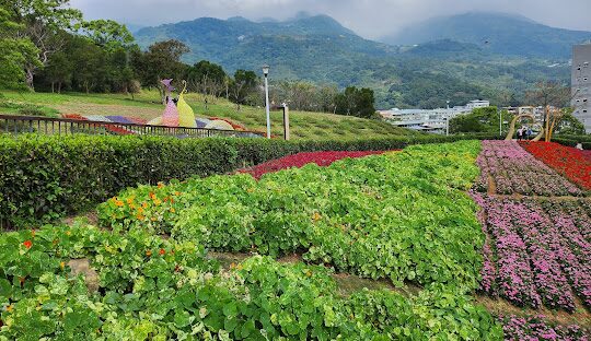 台北學生情侶約會地點TOP10：小資又浪漫的熱門打卡地