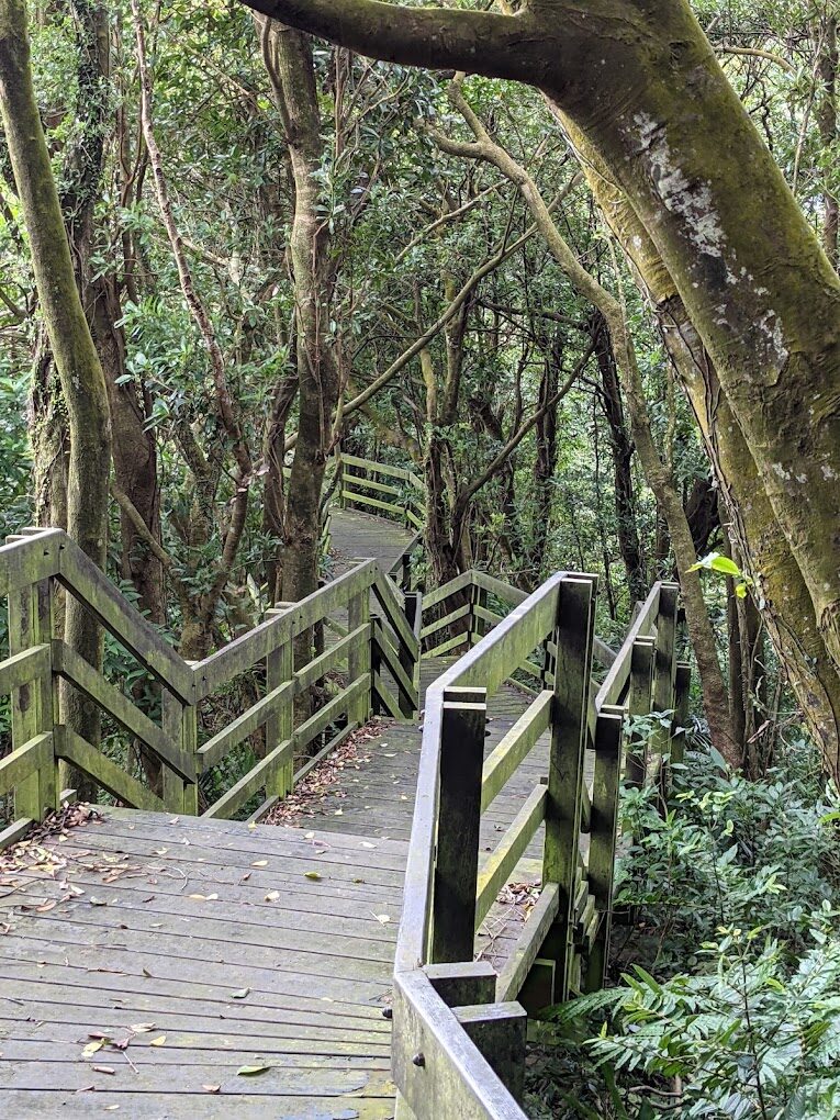 台北一個人散心好地方：5條輕鬆步道與放鬆行程