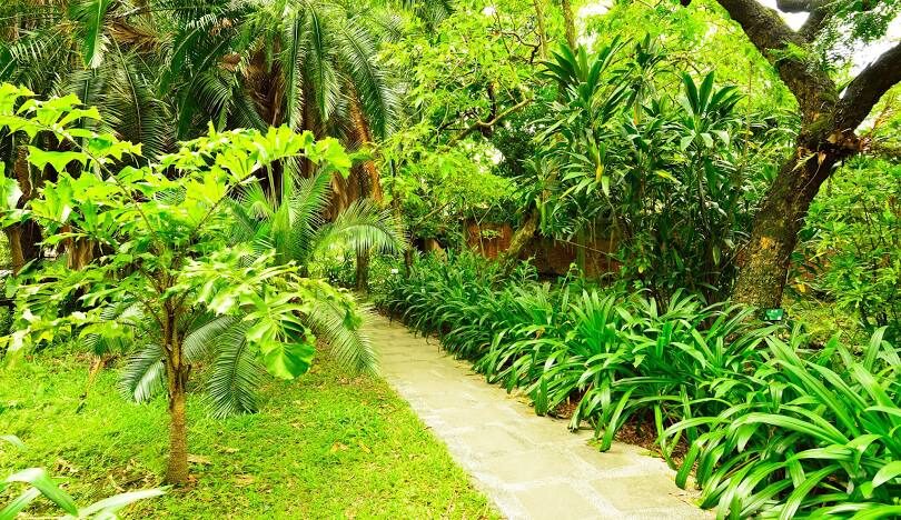 北部一日遊景點推薦：台北10個必去行程攻略