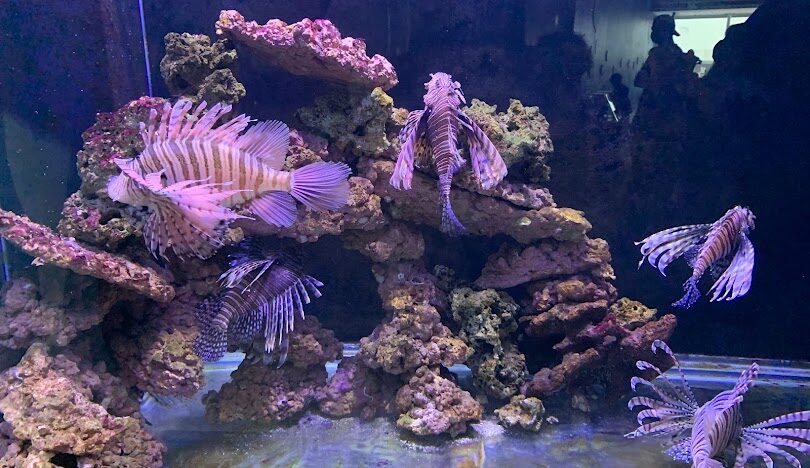 基隆一日遊行程規劃