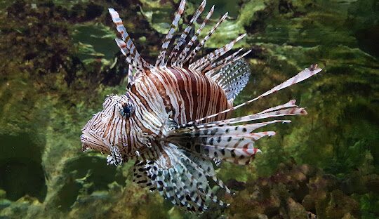 北部輕旅行:適合全家出遊的一日行程