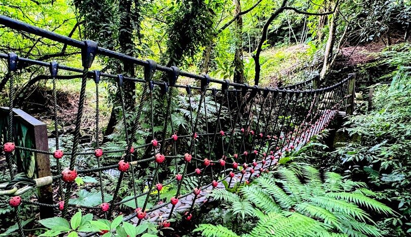 台北一個人散心好地方攻略：貓空、象山和北投必去景點