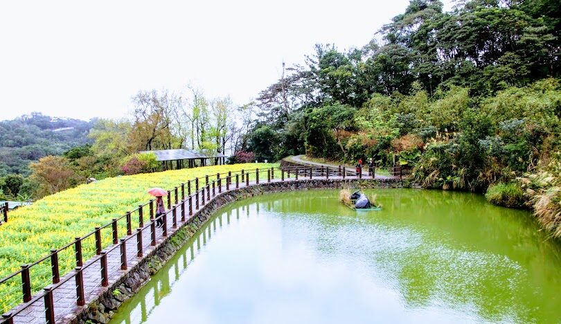 台北好逛的地方:貓空纜車與周邊景點攻略