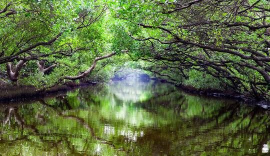 台南一日遊推薦：最值得一去的經典景點路線