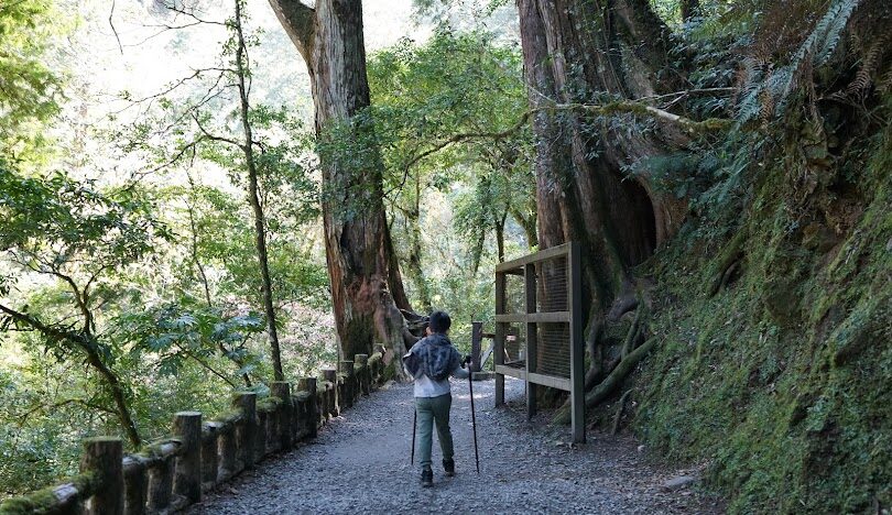 桃園景點一日遊推薦