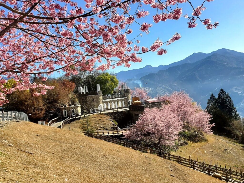 清境農場四季景觀與活動：中部景點一日遊精選