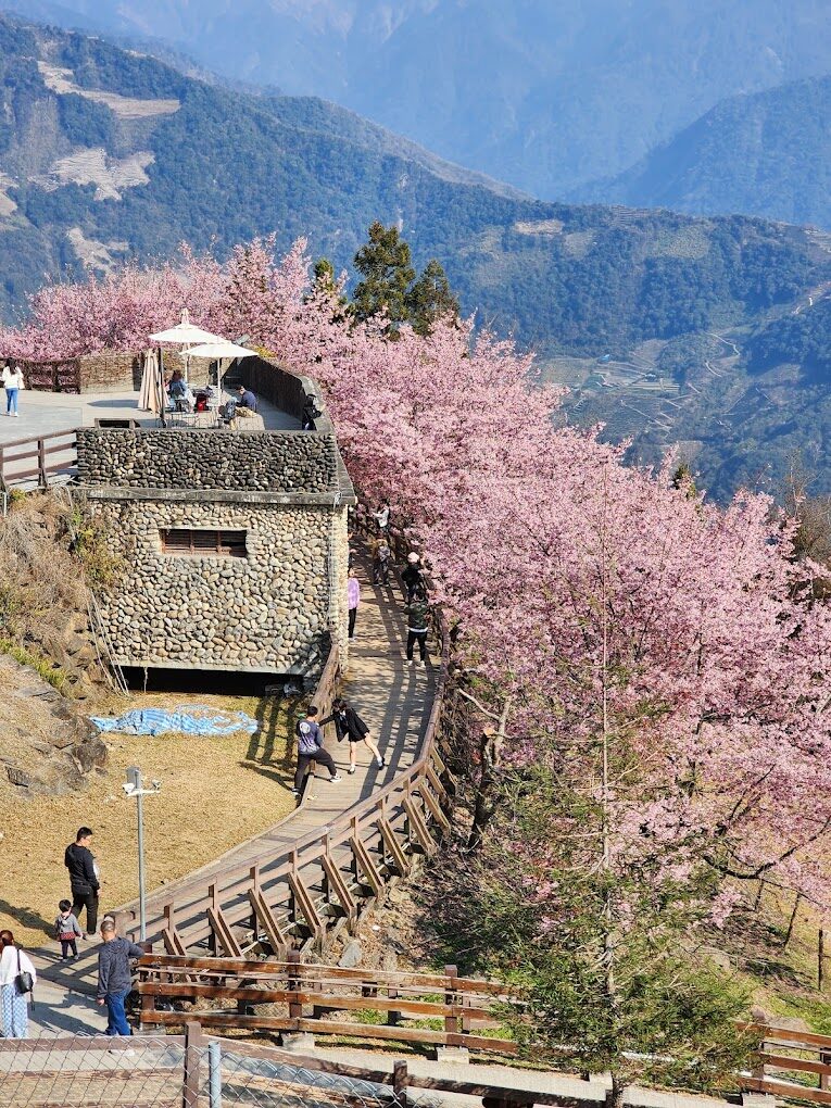 清境農場四季景觀與活動：中部景點一日遊精選