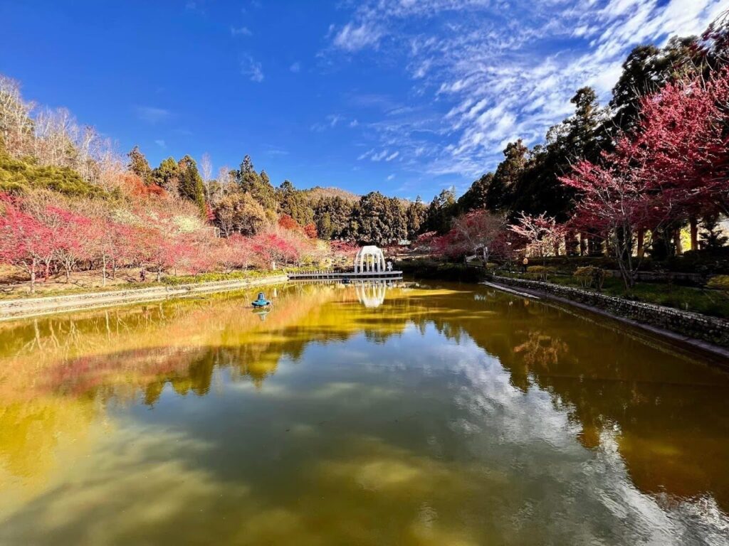 清境農場四季景觀與活動：中部景點一日遊精選