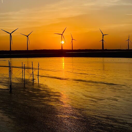 高美濕地攝影指南：中部景點一日遊最佳拍攝時間