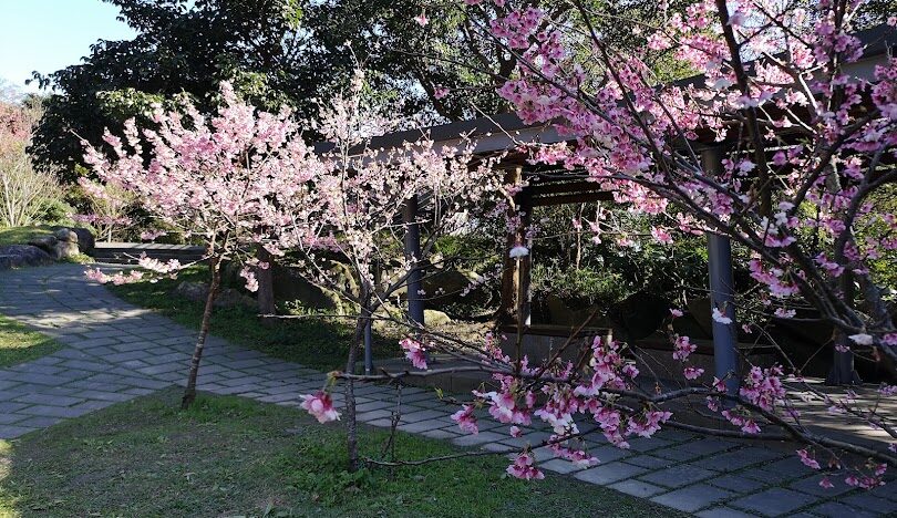 九份老街必去景點指南：北部景點一日遊