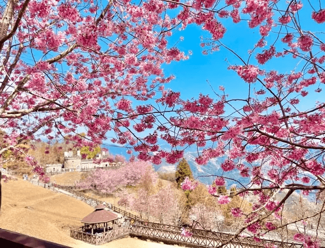 清境農場晨光微曦，遠方群山環抱翠綠草原