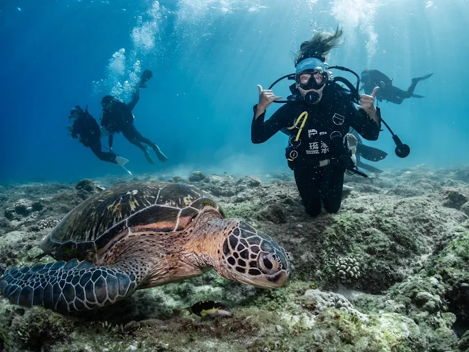 小琉球兩天一夜輕旅行｜浮潛、獨木舟、水上自行車與海島美食全體驗