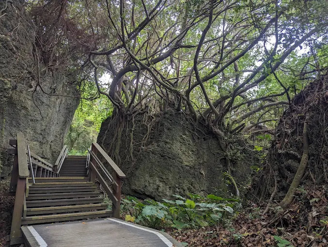 小琉球兩天一夜輕旅行｜浮潛、獨木舟、水上自行車與海島美食全體驗