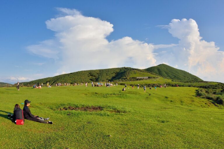 北台灣景點：陽明山櫻花季