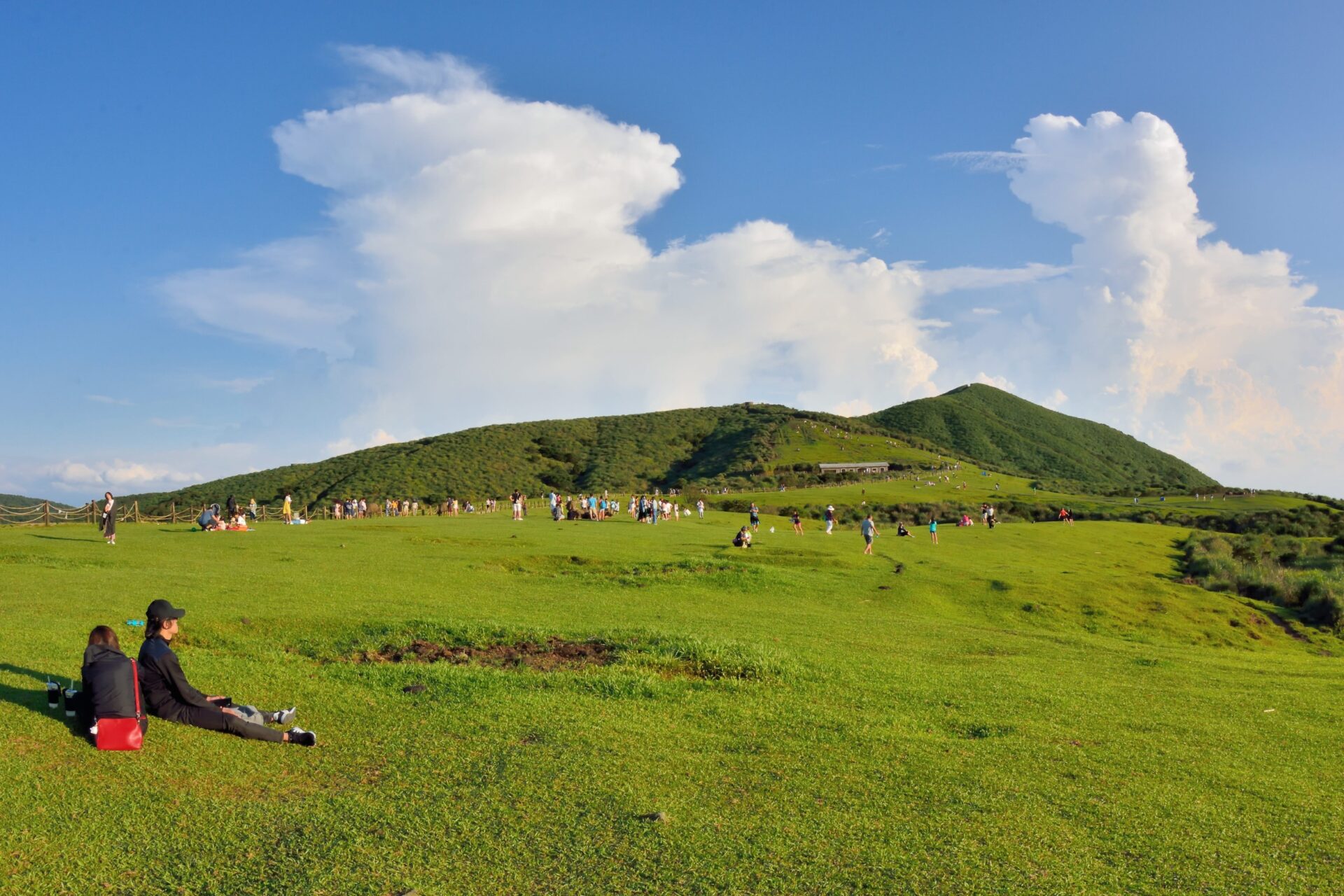北台灣景點:陽明山櫻花季
