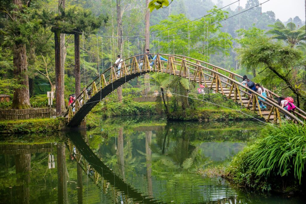 溪頭露營區：家庭與親子露營的最佳選擇