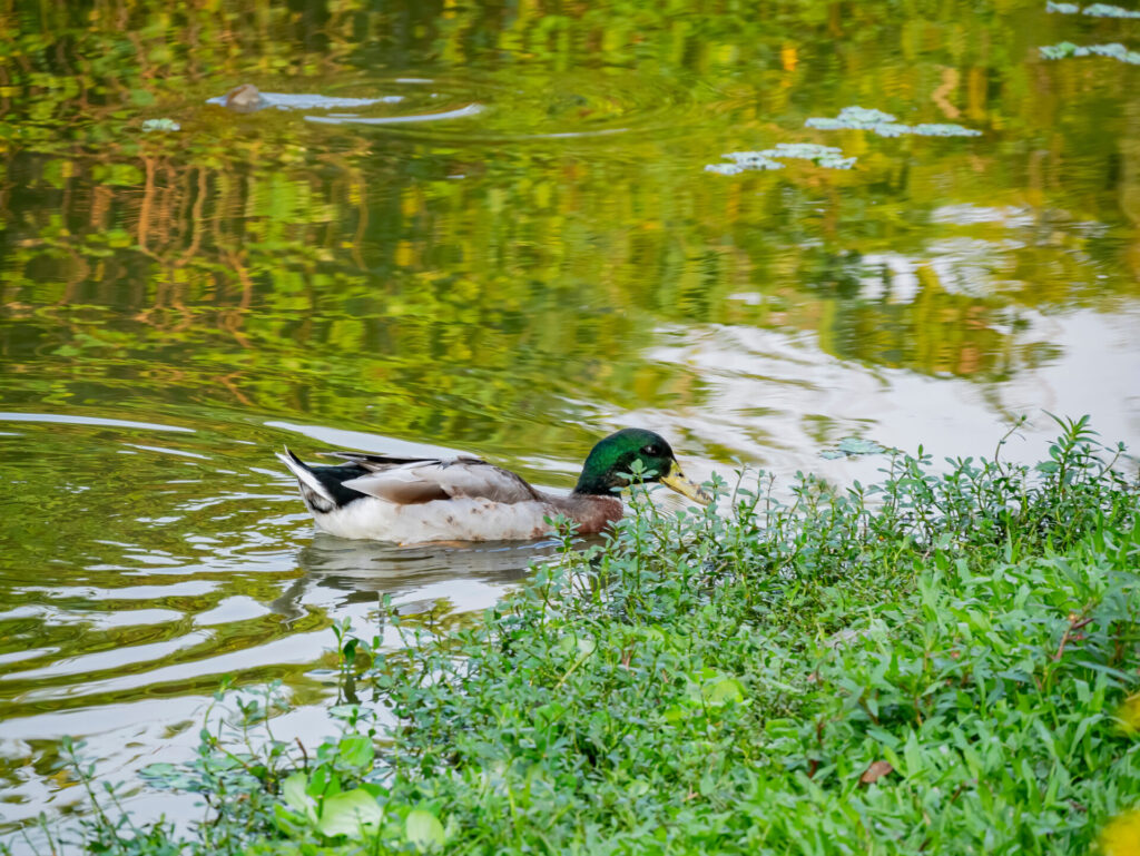 「台北散心好去處推薦：10個輕鬆放鬆心情的景點」