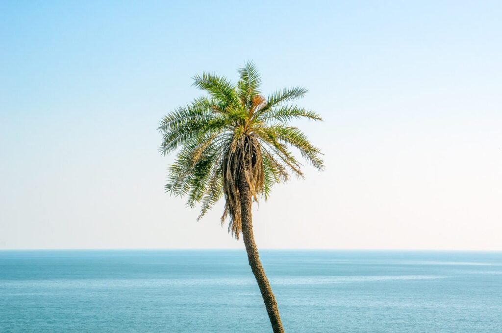 屏東南部景點海灘度假村推薦：享受陽光與海灘的最佳選擇