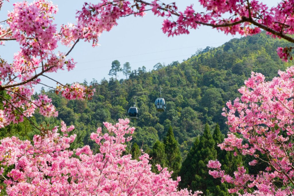 南投天氣預報：最佳旅行季節與每月氣候指南