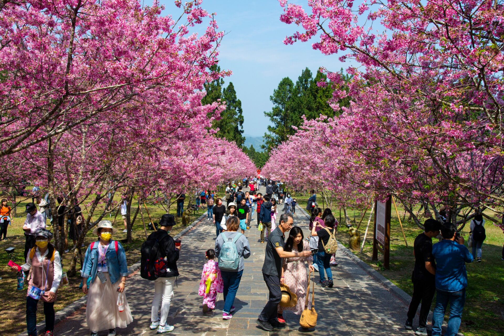 南投天氣預報：最佳旅行季節與每月氣候指南