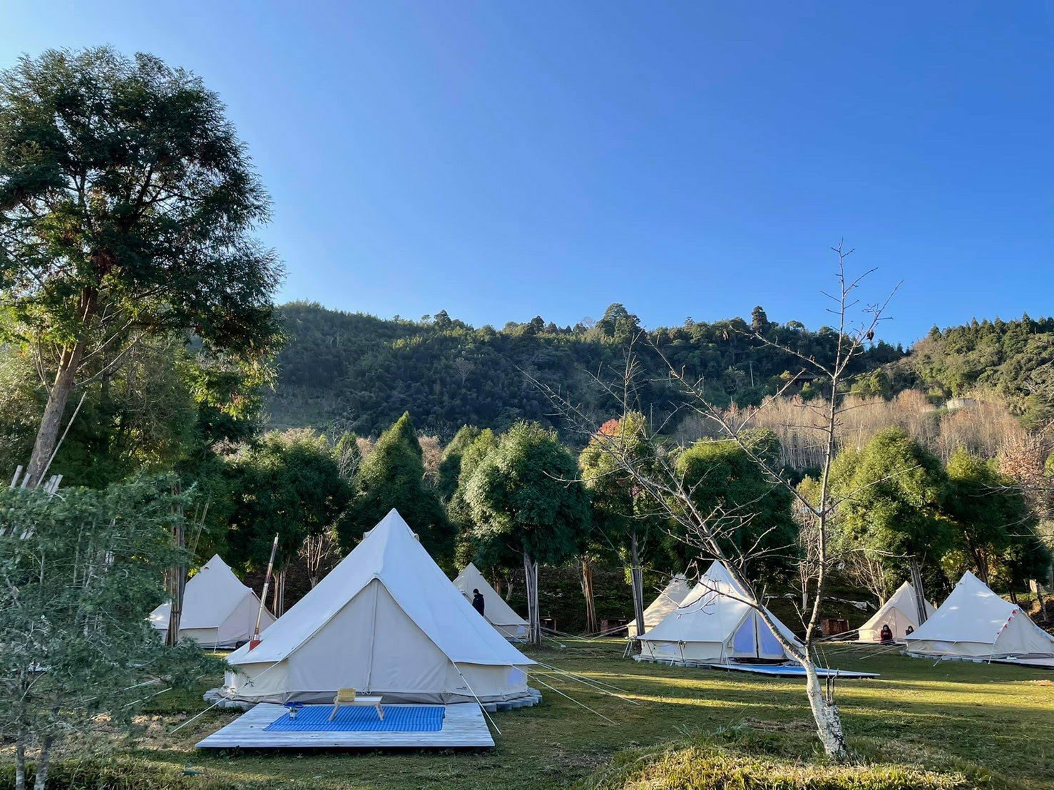 342352310_156785850389319_622448891081743526_n