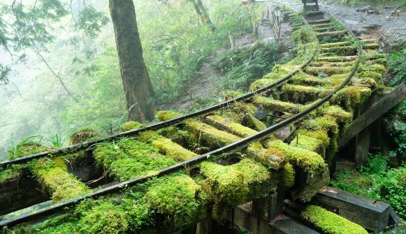 宜蘭免費景點:九大必逛自然美地指南